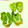 アイリッシュショコラ's cooksnap of when they made 手で簡単！包丁いらず！ピーマンの切り方.