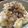 すーころん's cooksnap of when they made 超簡単！炊飯器でホクホクさつまいもご飯.
