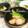 華燐♡'s cooksnap of when they made 大きな殻付き干しエビとカブのあんかけ.