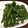 卵せんべい's cooksnap of when they made さやいんげんのごま和え.