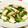 mmameco's cooksnap of when they made 小松菜といかのさっと煮.