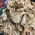 クック7AL3NC☆'s cooksnap of when they made やみつき！無限きのこ(エリンギ編).
