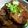 あいあん67's cooksnap of when they made 誰でもできる豚の角煮.