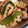 ゆっきん♪'s cooksnap of when they made とりとれんこんのオイスター炒め.