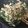 クックLYYTIX☆'s cooksnap of when they made 簡単早い！ニラ玉.
