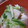エキセントリック舞's cooksnap of when they made 白菜消費！生姜風味、鶏と白菜の炒め煮.