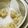 かすてら１２'s cooksnap of when they made 義母の味⑦　焼売.