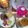 Dream♪'s cooksnap of when they made こくうま♪バター風味のもやしの味噌汁.