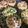 クック1R8XVV☆'s cooksnap of when they made 照り焼き豆腐つくね.