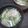 ジョングレ's cooksnap of when they made 豆苗ワンタンスープ.