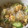 もふうさ's cooksnap of when they made しらたきの和え物♡.