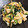 Miporin☆15's cooksnap of when they made エリンギのにらマヨ炒め.
