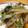 〜tinr～'s cooksnap of when they made もやしと豆苗の炒めナムル.