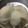わたるんママ's cooksnap of when they made 杏仁霜とアガ—アガ—でぷるりん杏仁豆腐♪.