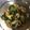 eimy＊'s cooksnap of when they made 【簡単】青梗菜としめじの煮浸し.