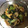 eimy＊'s cooksnap of when they made 【簡単】青梗菜としめじの煮浸し.