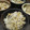 ジョングレ's cooksnap of when they made 潮騒感じる＊ひじきお揚げごはん.