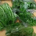 ケー♪'s cooksnap of when they made 水菜の保存.