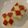 mokomokon's cooksnap of when they made りんごの飾り切り♪.