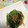 ぽぽきゅ's cooksnap of when they made ほうれん草のなめ茸和え.