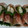 クックZCV6BF☆'s cooksnap of when they made 簡単♪一品　生ハムの長いも巻マキ.