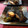 misatona's cooksnap of when they made 今が旬☆カレイの煮付け.