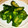 ダッフィーニーうに's cooksnap of when they made 止まらない！大根のわさび漬け.