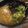 ぱりぽっぽ's cooksnap of when they made ヘルシー豆乳担々麺.