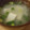 柊さくら's cooksnap of when they made 余った大根おろしで♪リメイク白だしスープ.