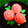 ふわとろくり～み～'s cooksnap of when they made 薔薇の練りきり.