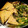 クック8YQSKM☆'s cooksnap of when they made 豆苗と厚揚げのさっと煮.