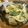 低カロ探検隊's cooksnap of when they made お麩とホウレン草のツナ風味卵とじ.