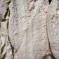 shichicook's cooksnap of when they made 鶏むね肉でメインとスープ★残りは常備用.