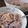 いもたす。's cooksnap of when they made 紫いものグラタン。.