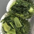 my7033's cooksnap of when they made 超簡単！青梗菜のシンプル炒め♡お弁当にも.