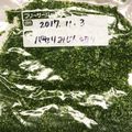 HILO GIRL's cooksnap of when they made 大量消費!まとめて便利パセリのみじん切り.