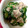 クック9B233N☆'s cooksnap of when they made ツナとキュウリの柚子胡椒和え.