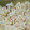 ヨシザネ's cooksnap of when they made お母さんのタコ飯❀.