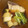 Kalie1210's cooksnap of when they made 簡単こっくり！ 鰤とカブの煮物！.