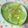 チェックのミニくま's cooksnap of when they made ウェイパーで冬瓜と鶏ミンチ.