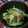 ばらのきし's cooksnap of when they made すぐつまみ　きゅうりとザーサイの和え物.