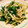 ＊UN＊'s cooksnap of when they made 簡単！水菜とえのきのポン酢の胡麻和え♪.