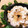 ＊A13＊'s cooksnap of when they made 簡単！美味しい！まいたけの混ぜご飯.