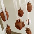 すろーぽーく's cooksnap of when they made 暖かい地方でも干し柿出来る、作り方.