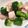 クックはなん☆'s cooksnap of when they made おつまみにベーコンとブロッコリーで.