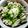 クックASCLT9☆'s cooksnap of when they made 簡単美味しい☆角煮風豚バラどんぶり.