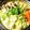earth。's cooksnap of when they made きのこの豆乳カレー風味鍋.