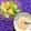 ふたごゆき's cooksnap of when they made サラダに♪胡麻ドレ柚子胡椒風味.