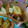 4double5's cooksnap of when they made しらすとチーズの卵焼き.