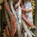 たるらりら's cooksnap of when they made デリ風ごぼうサラダ.